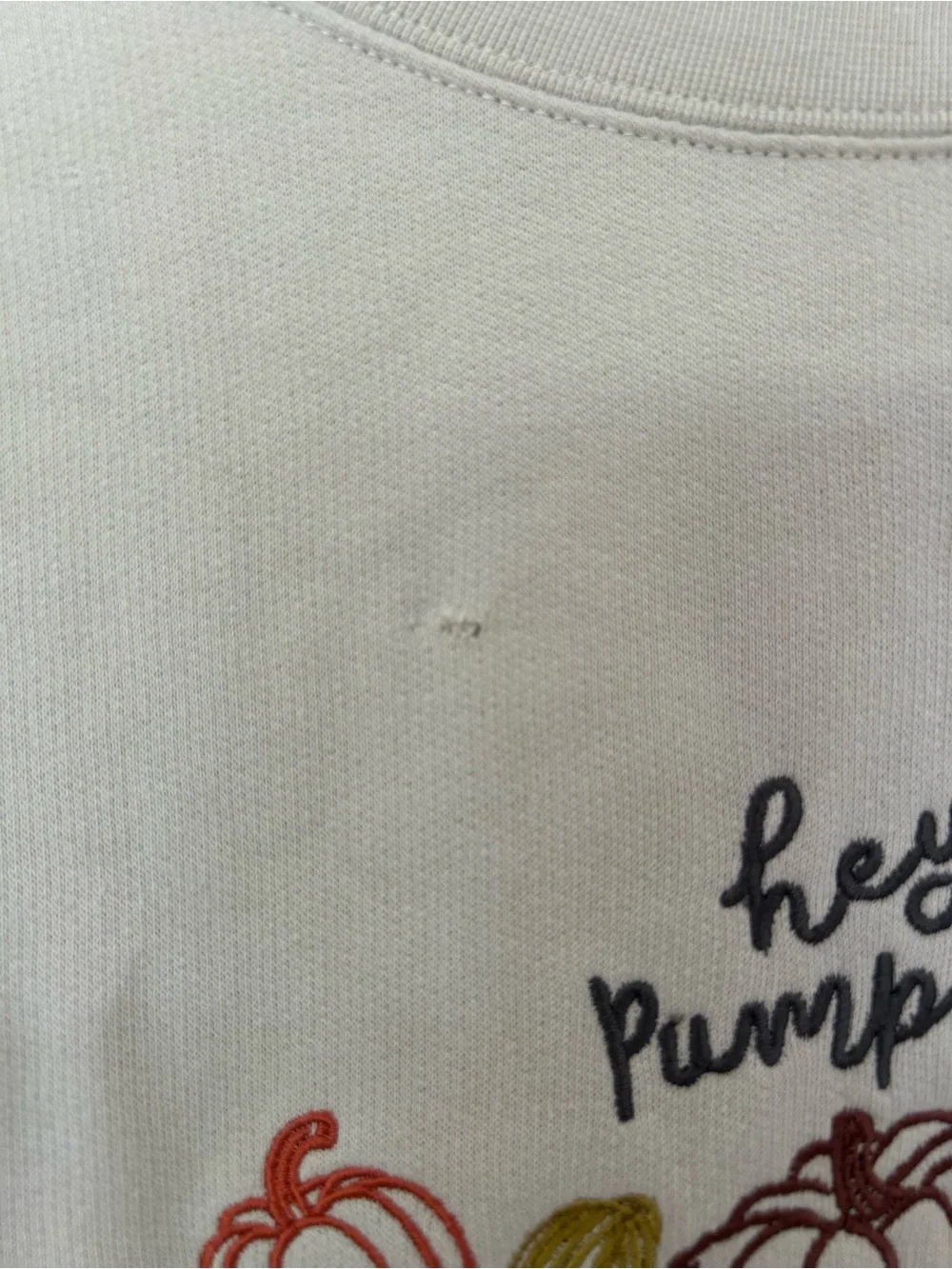 Crewneck Sweatshirt - Beige 